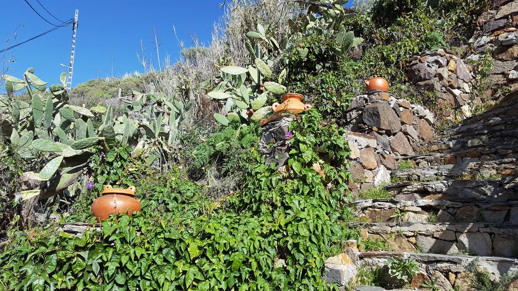 Casa Rural - Laendliches Haus, Pepita La De Las Flores Tejeda  Buitenkant foto